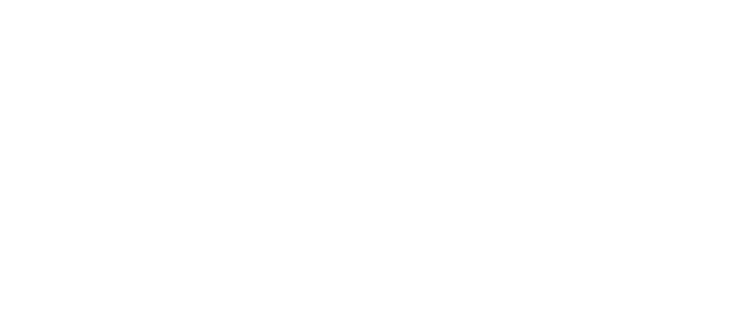 National Council for Scientific and Technological Development